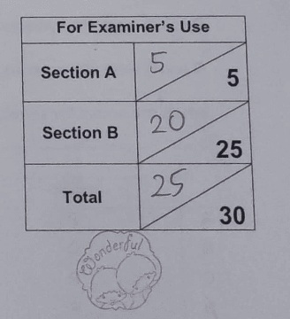 Grade photo for Student 12